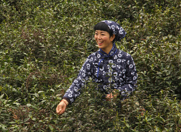 热门2